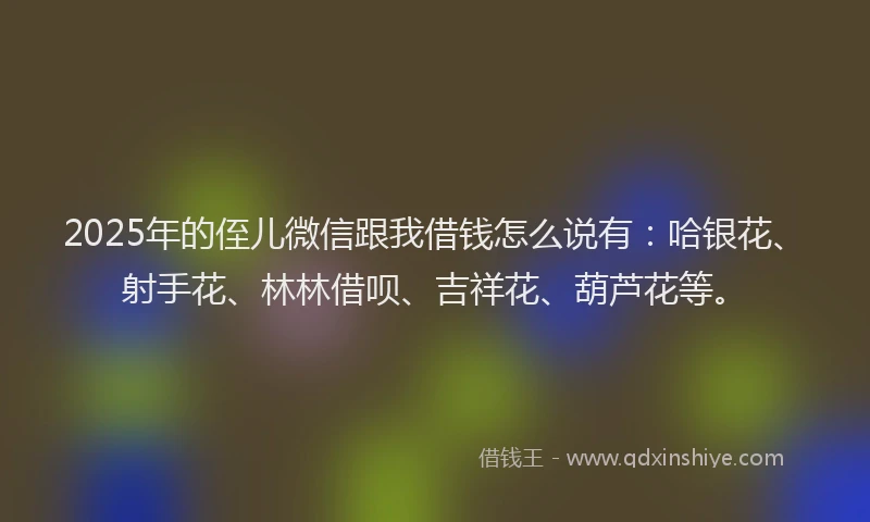 2025年的侄儿微信跟我借钱怎么说有:哈银花、射手花、林林借呗、吉祥花、葫芦花等。