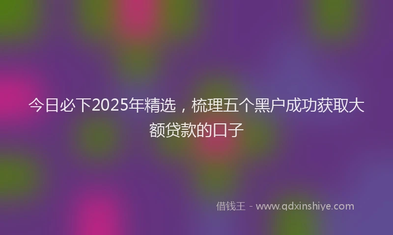 今日必下2025年精选，梳理五个黑户成功获取大额贷款的口子