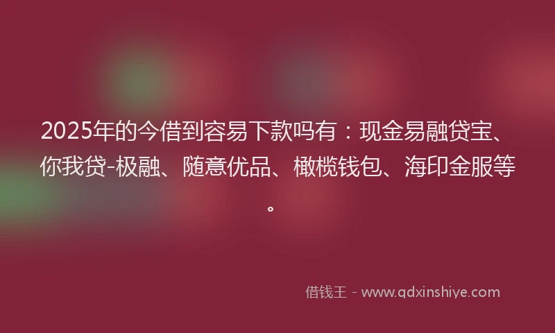 2025年的今借到容易下款吗有：现金易融贷宝、你我贷-极融、随意优品、橄榄钱包、海印金服等。