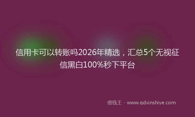 信用卡可以转账吗2026年精选，汇总5个无视征信黑白100%秒下平台