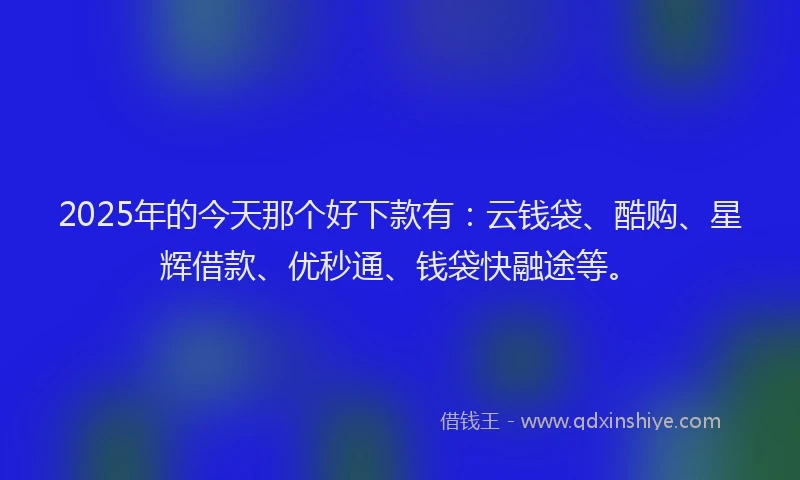 2025年的今天那个好下款有：云钱袋、酷购、星辉借款、优秒通、钱袋快融途等。