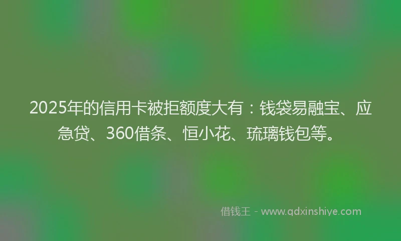 2025年的信用卡被拒额度大有：钱袋易融宝、应急贷、360借条、恒小花、琉璃钱包等。
