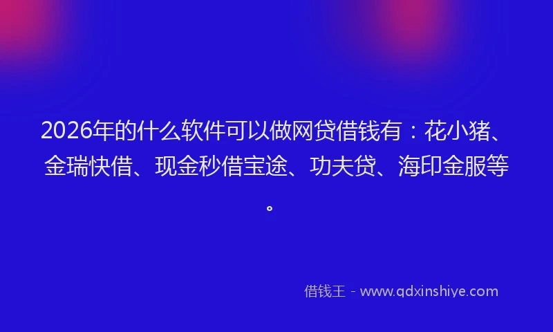 2026年的什么软件可以做网贷借钱有：花小猪、金瑞快借、现金秒借宝途、功夫贷、海印金服等。