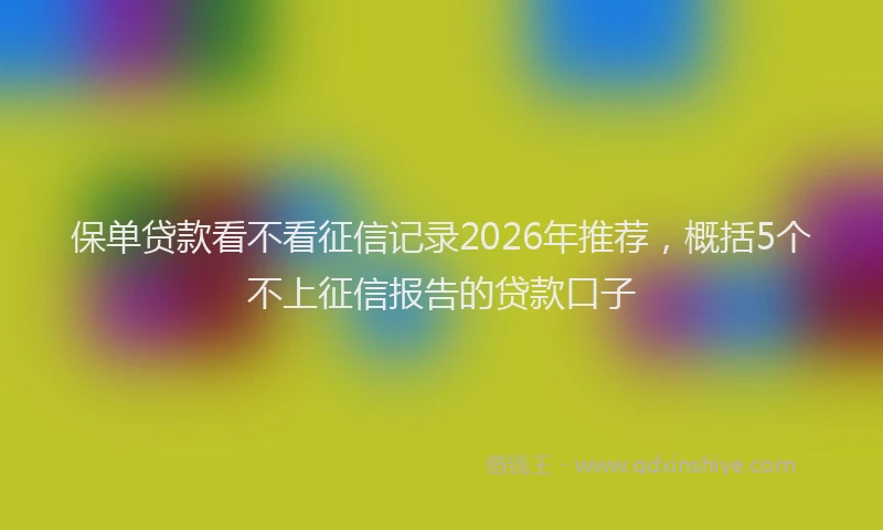 保单贷款看不看征信记录2026年推荐，概括5个不上征信报告的贷款口子