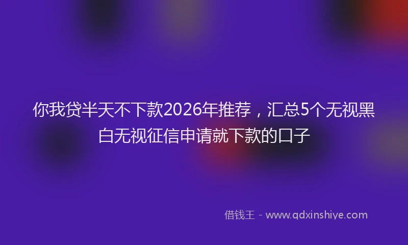 你我贷半天不下款2026年推荐，汇总5个无视黑白无视征信申请就下款的口子