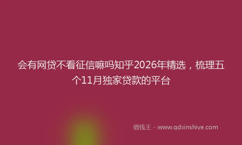 会有网贷不看征信嘛吗知乎2026年精选，梳理五个11月独家贷款的平台