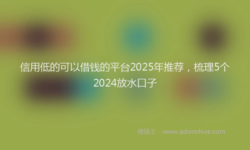 信用低的可以借钱的平台2025年推荐，梳理5个2024放水口子