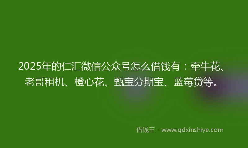 2025年的仁汇微信公众号怎么借钱有:牵牛花、老哥租机、橙心花、甄宝分期宝、蓝莓贷等。