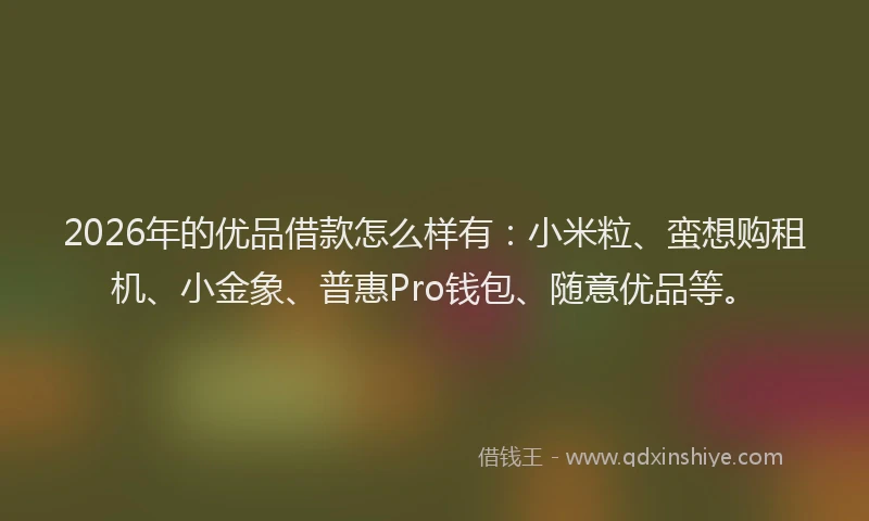 2026年的优品借款怎么样有：小米粒、蛮想购租机、小金象、普惠Pro钱包、随意优品等。