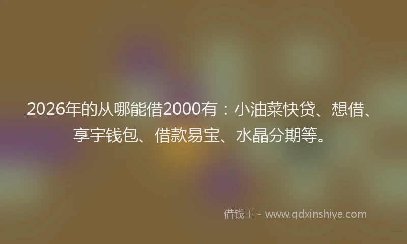 2026年的从哪能借2000有：小油菜快贷、想借、享宇钱包、借款易宝、水晶分期等。