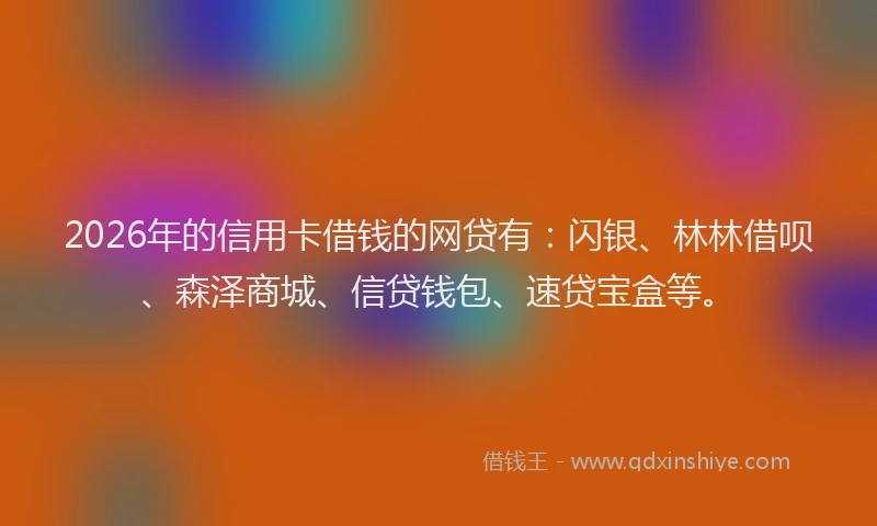 2026年的信用卡借钱的网贷有：闪银、林林借呗、森泽商城、信贷钱包、速贷宝盒等。