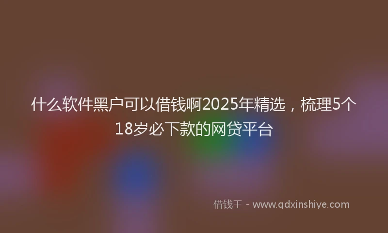 什么软件黑户可以借钱啊2025年精选，梳理5个18岁必下款的网贷平台