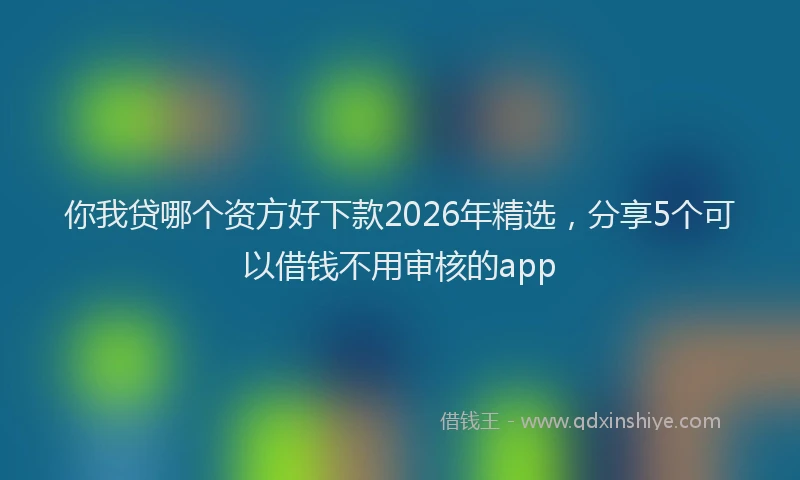 你我贷哪个资方好下款2026年精选,分享5个可以借钱不用审核的app