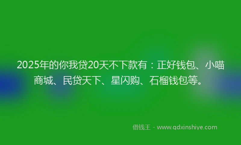 2025年的你我贷20天不下款有：正好钱包、小喵商城、民贷天下、星闪购、石榴钱包等。