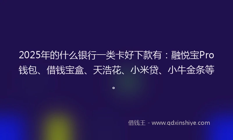 2025年的什么银行一类卡好下款有：融悦宝Pro钱包、借钱宝盒、天浩花、小米贷、小牛金条等。