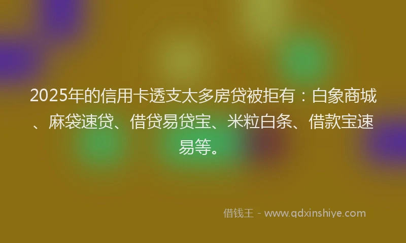 2025年的信用卡透支太多房贷被拒有：白象商城、麻袋速贷、借贷易贷宝、米粒白条、借款宝速易等。