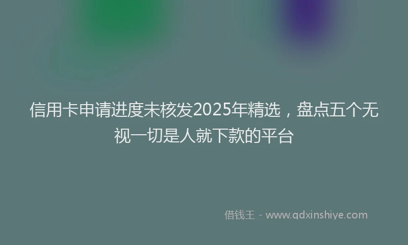 信用卡申请进度未核发2025年精选，盘点五个无视一切是人就下款的平台