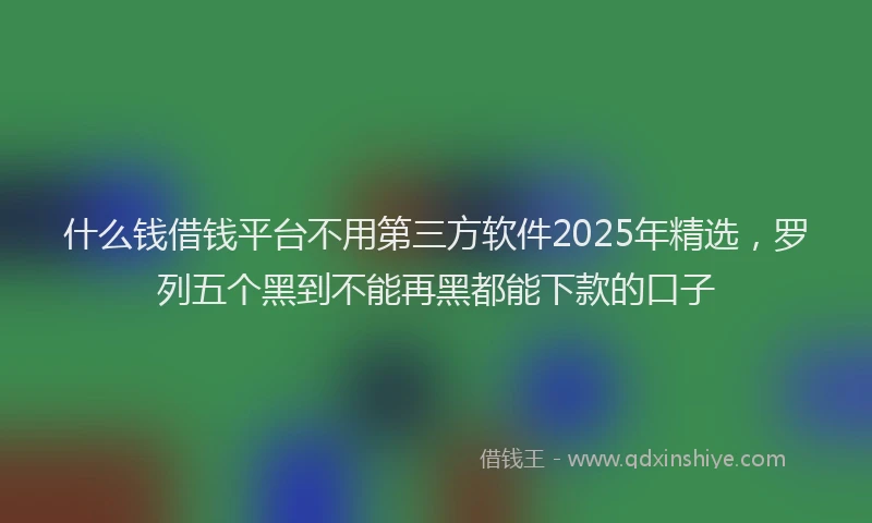 什么钱借钱平台不用第三方软件2025年精选，罗列五个黑到不能再黑都能下款的口子