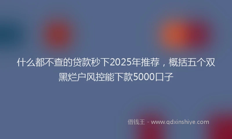 什么都不查的贷款秒下2025年推荐，概括五个双黑烂户风控能下款5000口子