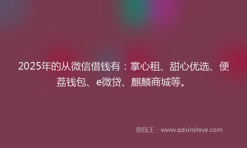 2025年的从微信借钱有：掌心租、甜心优选、便荔钱包、e微贷、麒麟商城等。