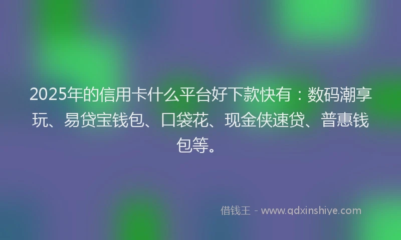 2025年的信用卡什么平台好下款快有：数码潮享玩、易贷宝钱包、口袋花、现金侠速贷、普惠钱包等。