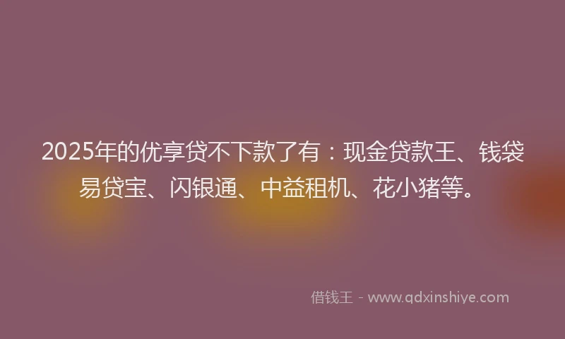 2025年的优享贷不下款了有:现金贷款王、钱袋易贷宝、闪银通、中益租机、花小猪等。
