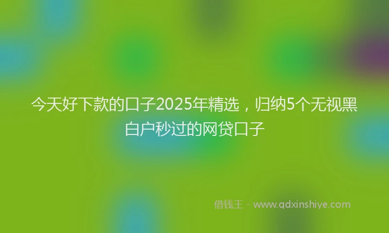 今天好下款的口子2025年精选，归纳5个无视黑白户秒过的网贷口子