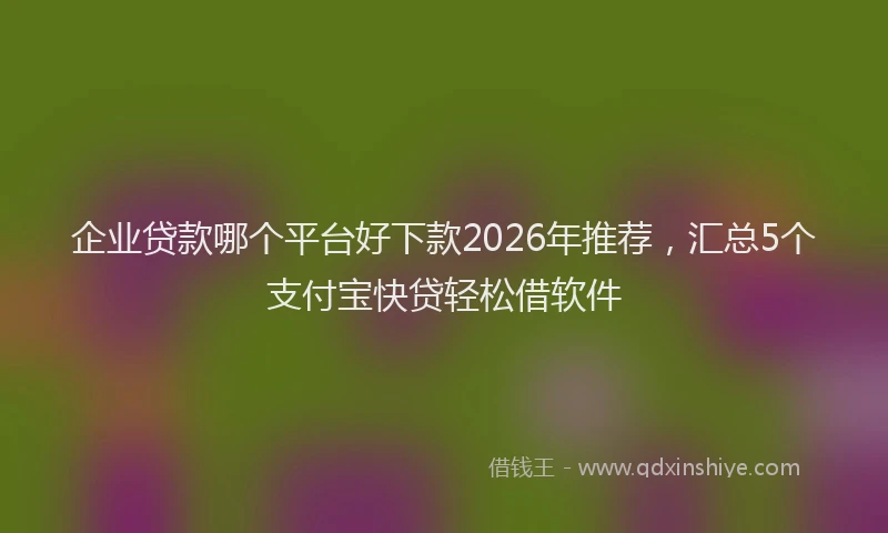 企业贷款哪个平台好下款2026年推荐,汇总5个支付宝快贷轻松借软件