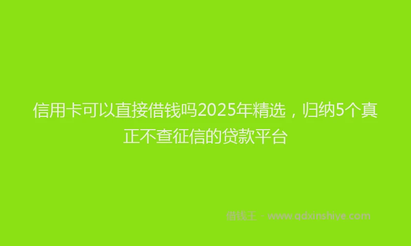 信用卡可以直接借钱吗2025年精选，归纳5个真正不查征信的贷款平台