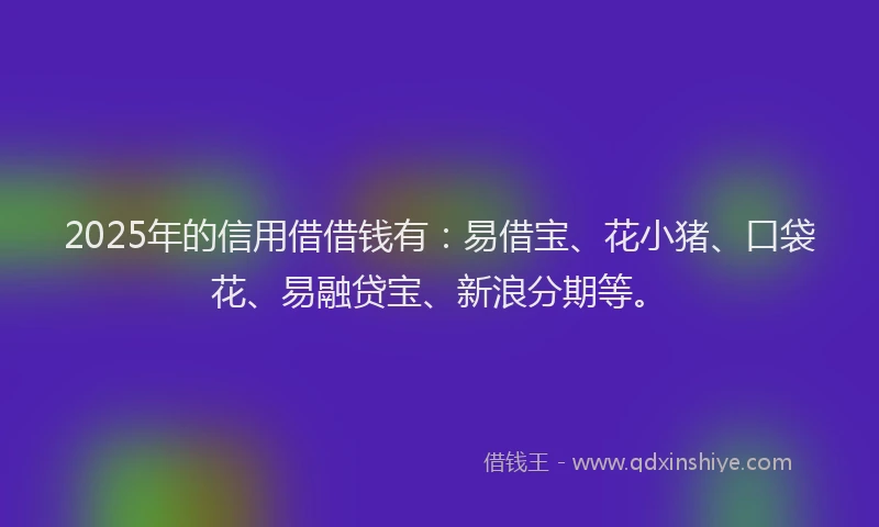 2025年的信用借借钱有：易借宝、花小猪、口袋花、易融贷宝、新浪分期等。