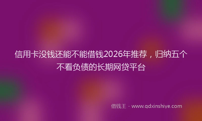 信用卡没钱还能不能借钱2026年推荐，归纳五个不看负债的长期网贷平台