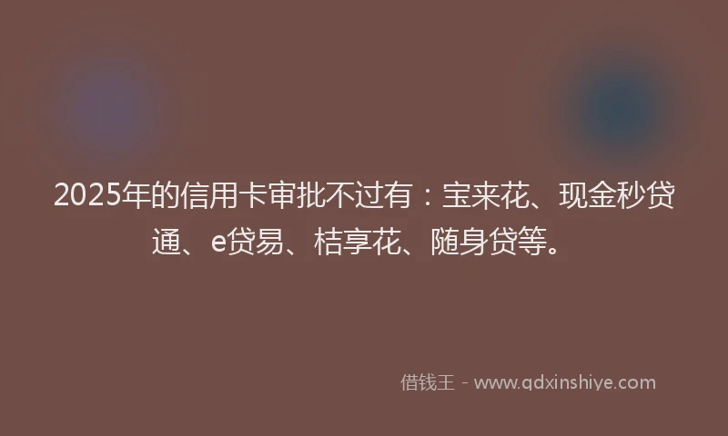 2025年的信用卡审批不过有：宝来花、现金秒贷通、e贷易、桔享花、随身贷等。