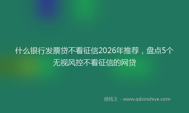 什么银行发票贷不看征信2026年推荐，盘点5个无视风控不看征信的网贷