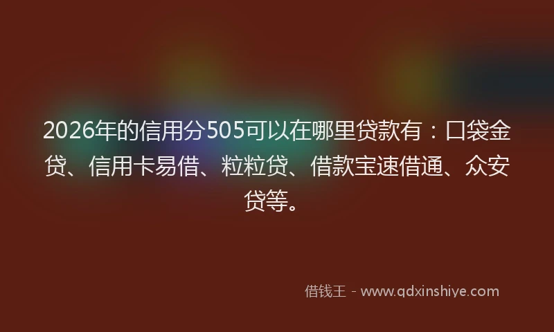 2026年的信用分505可以在哪里贷款有：口袋金贷、信用卡易借、粒粒贷、借款宝速借通、众安贷等。