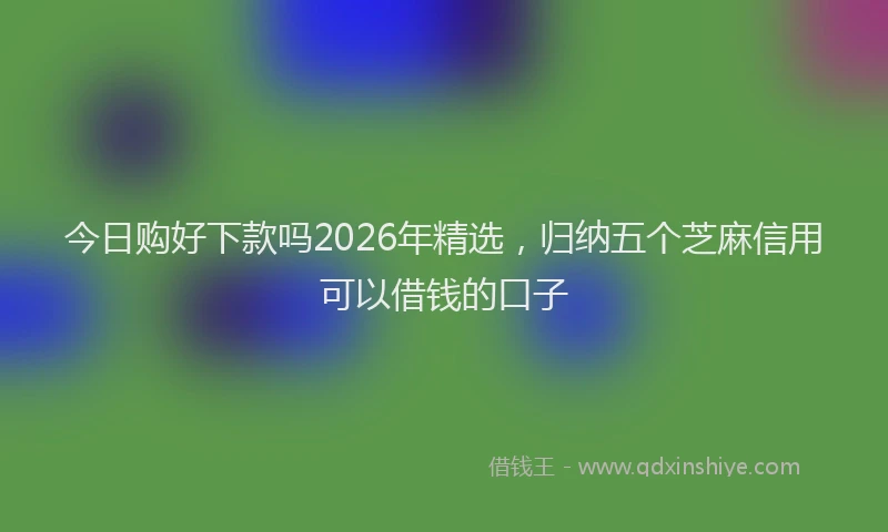 今日购好下款吗2026年精选，归纳五个芝麻信用可以借钱的口子