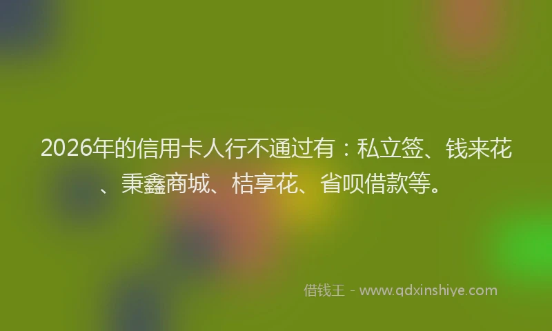 2026年的信用卡人行不通过有:私立签、钱来花、秉鑫商城、桔享花、省呗借款等。
