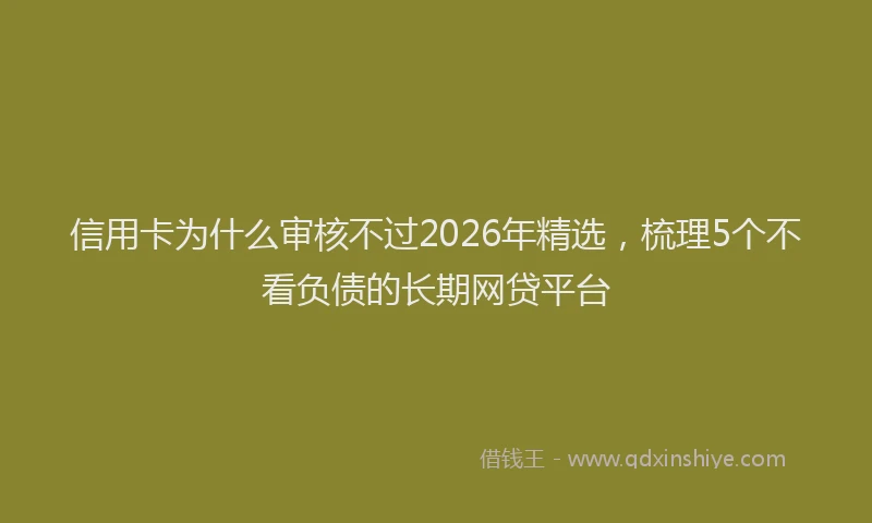 信用卡为什么审核不过2026年精选，梳理5个不看负债的长期网贷平台