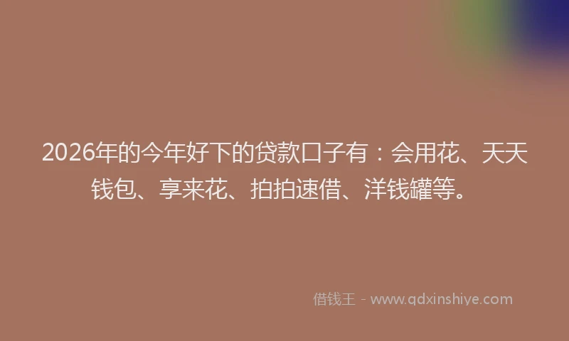 2026年的今年好下的贷款口子有：会用花、天天钱包、享来花、拍拍速借、洋钱罐等。