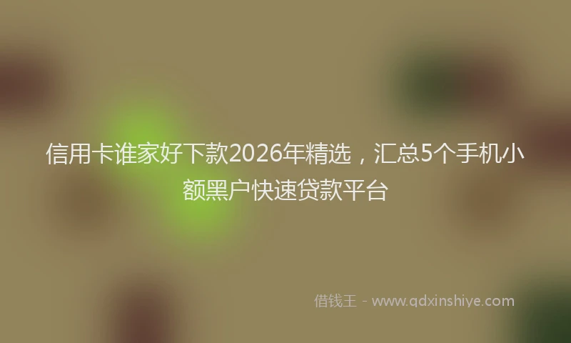 信用卡谁家好下款2026年精选，汇总5个手机小额黑户快速贷款平台