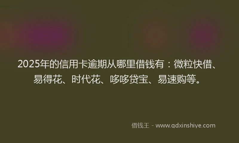 2025年的信用卡逾期从哪里借钱有：微粒快借、易得花、时代花、哆哆贷宝、易速购等。