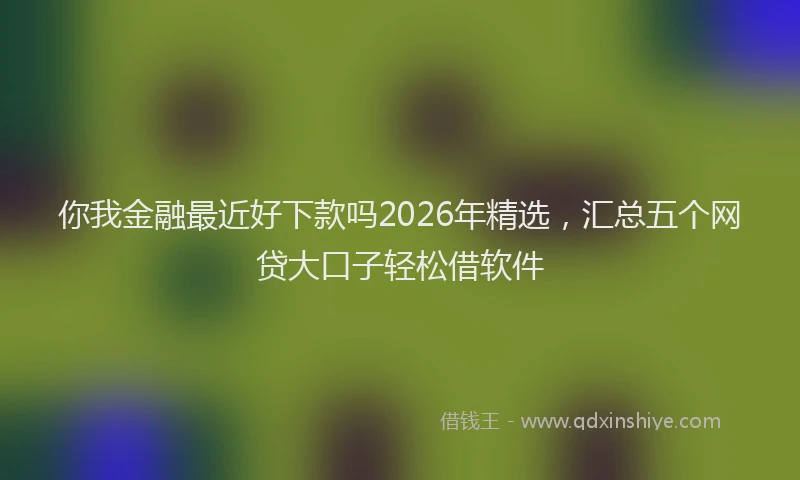 你我金融最近好下款吗2026年精选，汇总五个网贷大口子轻松借软件
