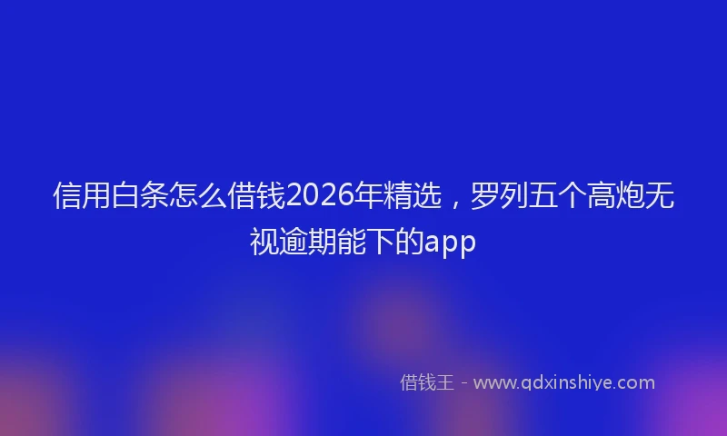 信用白条怎么借钱2026年精选，罗列五个高炮无视逾期能下的app
