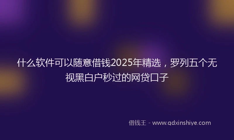 什么软件可以随意借钱2025年精选，罗列五个无视黑白户秒过的网贷口子