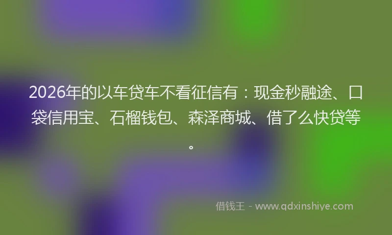 2026年的以车贷车不看征信有：现金秒融途、口袋信用宝、石榴钱包、森泽商城、借了么快贷等。