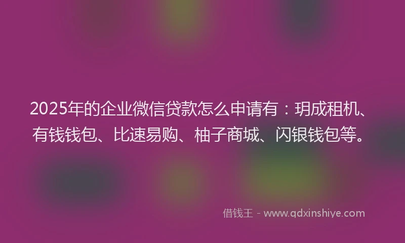 2025年的企业微信贷款怎么申请有：玥成租机、有钱钱包、比速易购、柚子商城、闪银钱包等。