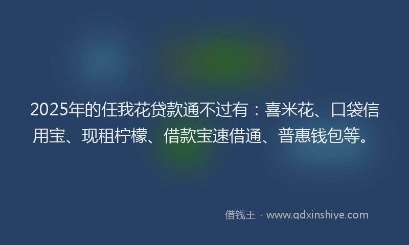 2025年的任我花贷款通不过有：喜米花、口袋信用宝、现租柠檬、借款宝速借通、普惠钱包等。