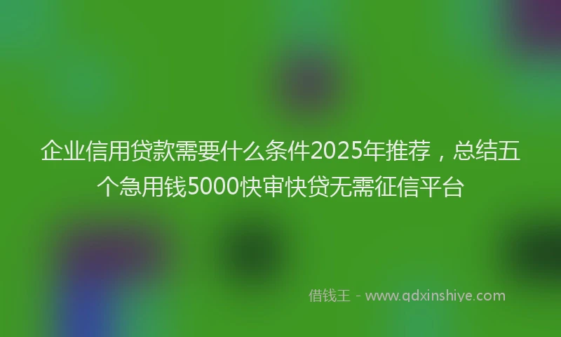 企业信用贷款需要什么条件2025年推荐，总结五个急用钱5000快审快贷无需征信平台