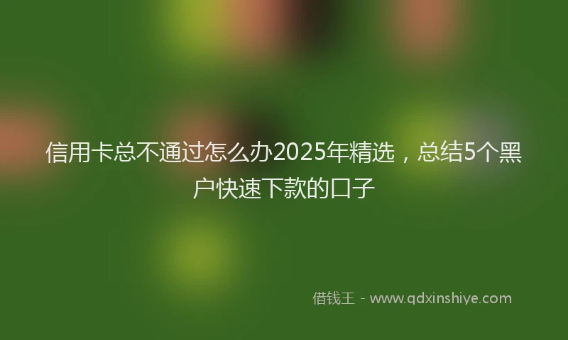 信用卡总不通过怎么办2025年精选，总结5个黑户快速下款的口子
