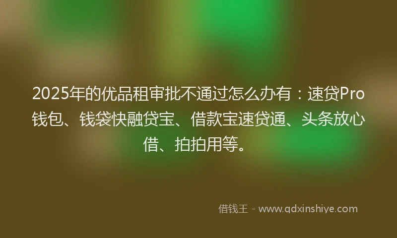2025年的优品租审批不通过怎么办有：速贷Pro钱包、钱袋快融贷宝、借款宝速贷通、头条放心借、拍拍用等。