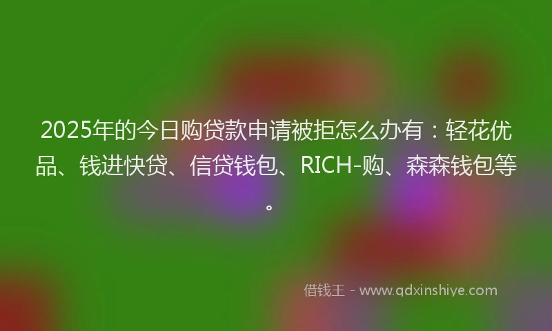 2025年的今日购贷款申请被拒怎么办有：轻花优品、钱进快贷、信贷钱包、RICH-购、森森钱包等。